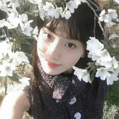 狂野追踪